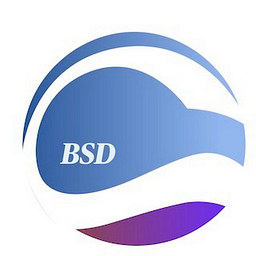 BSD Business Consulting logo