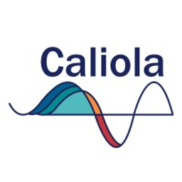 Caliola Engineering, LLC logo