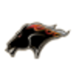 Fury Motors logo
