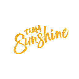 Team Sunshine Construction, LLC logo