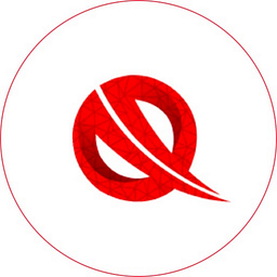 QBrainX India logo