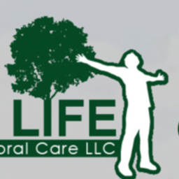 SPRING LIFE BEHAVIORAL CARE LLC logo