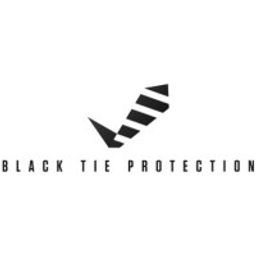 BTP Consultants, LLC logo
