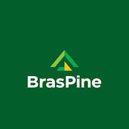 Braspine logo
