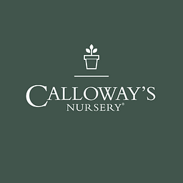 Calloway & Sons logo