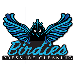 Birdies Pressure Cleaning Llc logo