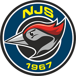 NJS Enterprises Llc logo