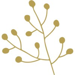 We Level Up logo