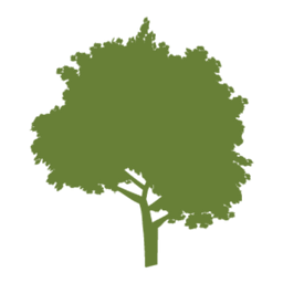 Schoolhouse of Wonder logo