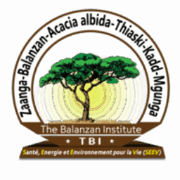 Balanzan Group logo
