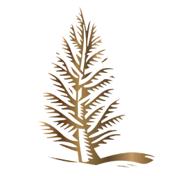 CedarCreek Estate Winery logo