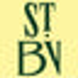 Buena Vida Odessa logo