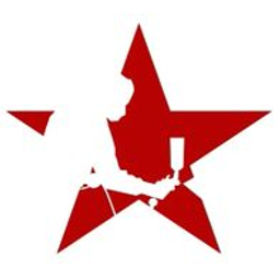 RED STAR AUTO WORKS INC logo