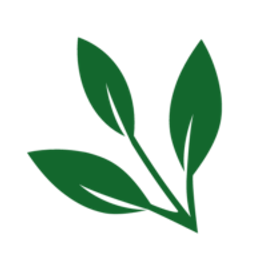 Willow Grove Post Acute logo