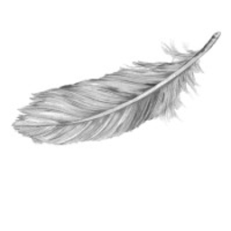Serenity Tender Care Services Llc logo