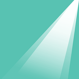 PierSight logo
