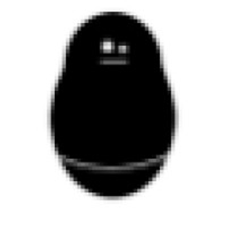 Small Potato Trucking logo