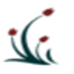 The Palms Nursing and Rehabilitation logo