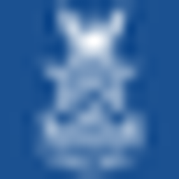 capitalcityclub logo