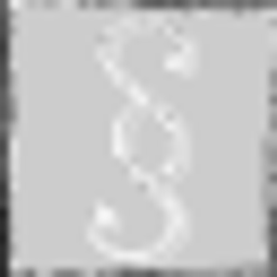 Schnusenberg logo