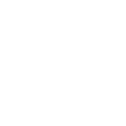 Everstar logo