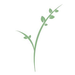 SageLife logo