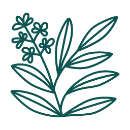 Sage Therapy Chicago logo