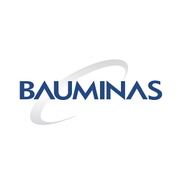 Grupo BaumInas logo
