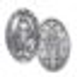 Central Association Of The Miraculous Medal logo