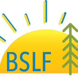 Big Steps Little Feet Inc logo