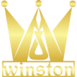 Winston Medical Staffing logo