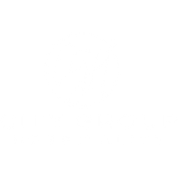 City Group Hospitality logo