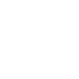 American Promise logo