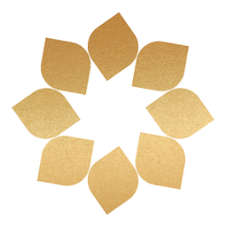 Solaris HealthCare Pensacola logo