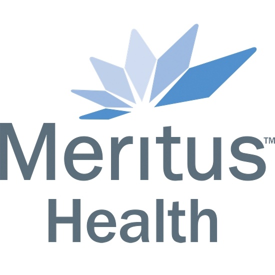 Meritis logo
