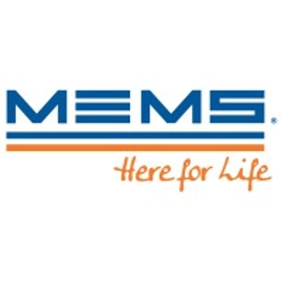 MEMS logo