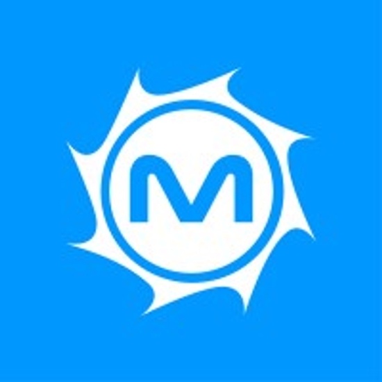 MetroStar Systems logo