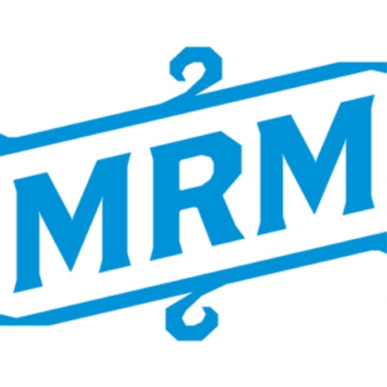 Model Remodel logo