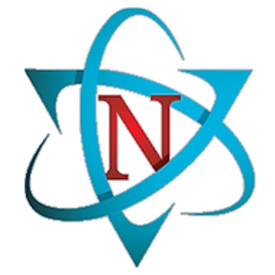 Nalley Consulting logo