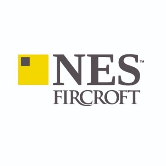 NES Global logo