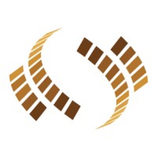 NetSage logo