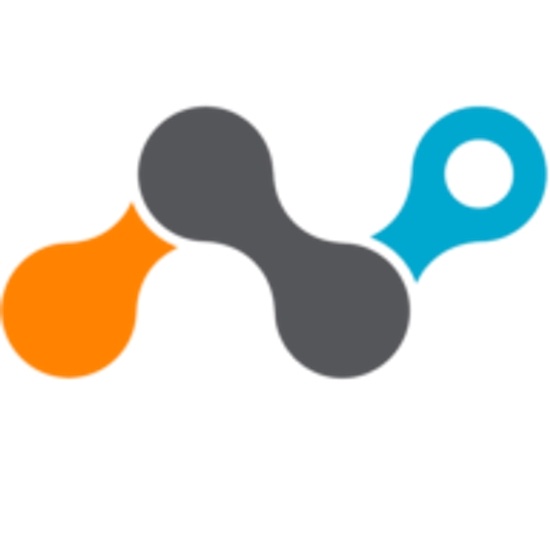 Netskope logo