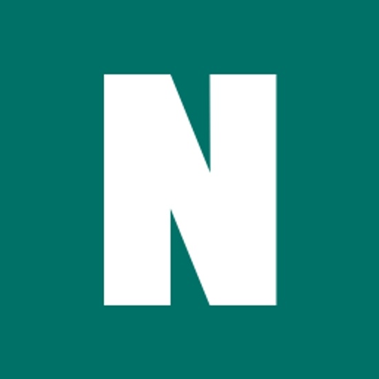 NETZSCHGroup logo