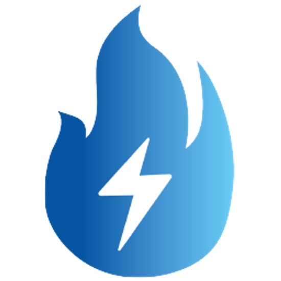 NeuraFlash logo