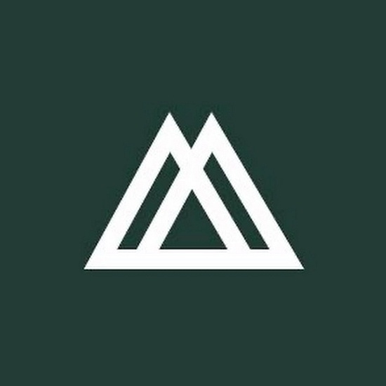 Nimble Gravity logo