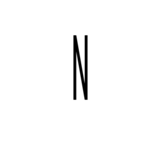 Nomic AI logo