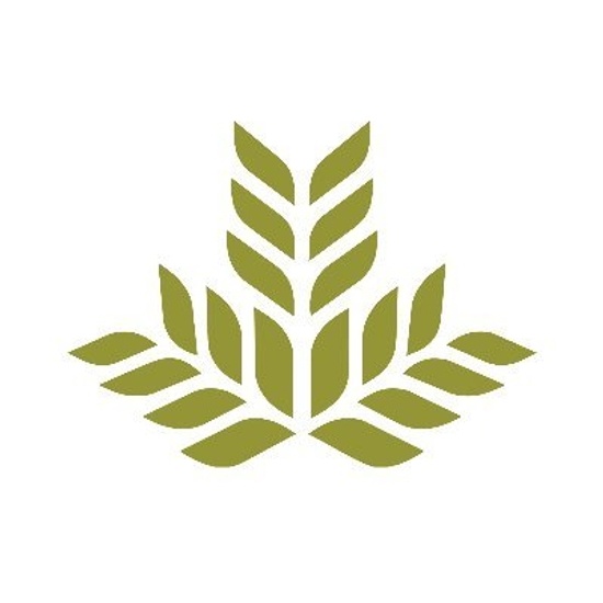 Northeast Hospital logo