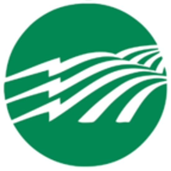 Owen Electric logo