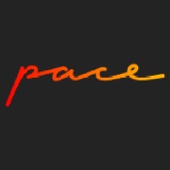 PACEPaparazziCateringEventGmbH logo