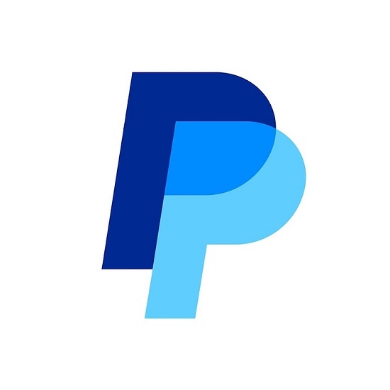 PayPal Network Information Services (Shanghai) logo